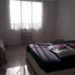 Rent 2 bedroom student apartment of 70 m² in Venezia