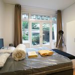 Rent 3 bedroom apartment of 92 m² in Den Haag