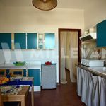 Rent 5 bedroom apartment of 80 m² in Scicli