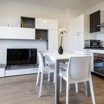 Rent 2 bedroom apartment of 45 m² in Udine