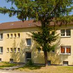 Rent 3 bedroom apartment of 62 m² in Recklinghausen