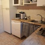Rent 2 bedroom apartment of 45 m² in Livorno
