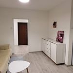 Rent 2 bedroom apartment of 40 m² in Bolesławiec