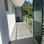 Rent 3 bedroom apartment of 80 m² in Frosinone