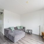 Rent a room of 54 m² in Almere