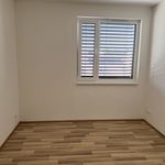 Rent 1 bedroom apartment of 55 m² in České Budějovice