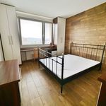 Rent 1 bedroom apartment of 20 m² in Ústí nad Labem