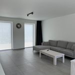House to rent : Balgerhoeke 28 B, 9900 Eeklo on Realo