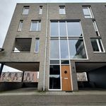 Rent 3 bedroom apartment of 200 m² in Rosmalen