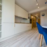 Rent 3 bedroom apartment of 55 m² in Bielsko-biała