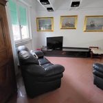 Rent 5 bedroom apartment of 120 m² in Livorno