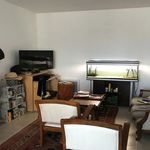Rent 1 bedroom apartment in GUIPAVAS