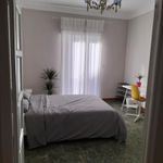 Rent 4 bedroom apartment in Alicante