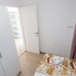 Rent 4 bedroom house of 100 m² in Brašina