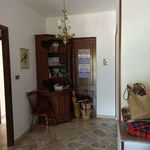 Rent 4 bedroom apartment of 110 m² in Palermo