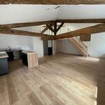 Rent 1 bedroom apartment of 50 m² in Montauban