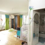 Rent 1 bedroom house of 300 m² in Praha