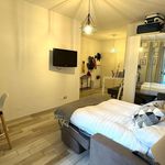 Rent 1 bedroom apartment of 41 m² in Milan