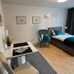 Rent 1 bedroom apartment of 25 m² in Köln