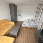 Rent 1 bedroom apartment of 34 m² in Třebíč