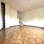 Rent 4 bedroom house of 220 m² in Torre de' Roveri