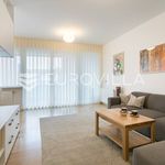 Najam 3 spavaće sobe stan od 140 m² u Zagreb