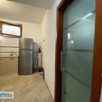 Rent 2 bedroom house of 40 m² in Torino