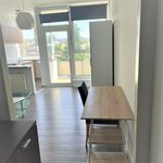 Rent 1 bedroom apartment of 34 m² in Frankfurt
