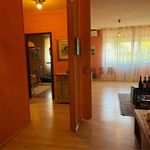 Rent 3 bedroom apartment of 130 m² in Padova