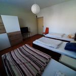 Rent 1 bedroom apartment of 960 m² in Litomerice