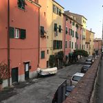 Rent 2 bedroom apartment of 65 m² in Genova
