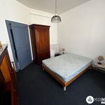 Rent 3 bedroom apartment of 65 m² in Albi