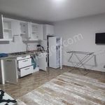 Rent 1 bedroom apartment of 30 m² in  Yunusemre Mahallesi