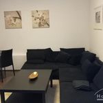 Rent 2 bedroom apartment of 48 m² in Sankt Augustin