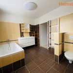 Rent 4 bedroom apartment of 97 m² in Ostrava
