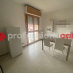 Rent 3 bedroom apartment of 60 m² in Empoli