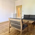 Rent 2 bedroom apartment of 55 m² in Albi