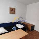 Najam 7 spavaće sobe kuća od 350 m² u Zagreb