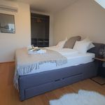 Rent 2 bedroom apartment of 70 m² in Vienna
