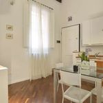 Rent 1 bedroom apartment of 45 m² in Bologna