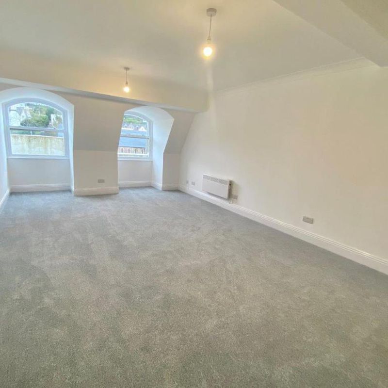 1 bedroom flat to rent Ellacombe