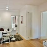 Rent 2 bedroom apartment of 100 m² in rome