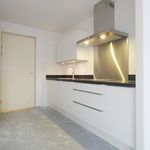 Rent 3 bedroom apartment of 115 m² in 's-Gravenhage