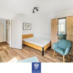 Miete 1 Schlafzimmer wohnung von 24 m² in Dresden