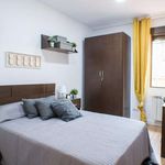 Alquilar 1 dormitorio apartamento en Madrid