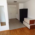 Rent 2 bedroom apartment of 63 m² in Riegersburg