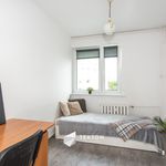 Rent 3 bedroom apartment of 54 m² in Poznań