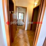 Rent 2 bedroom apartment of 40 m² in San Miniato