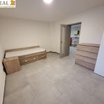 Pronajměte si 1 ložnic/e byt o rozloze 75 m² v Radiměř