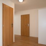 Rent 4 bedroom apartment of 79 m² in Děčín